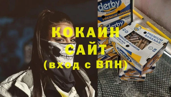 бошки Ладушкин