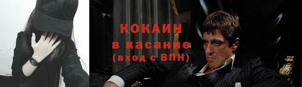 бошки Ладушкин
