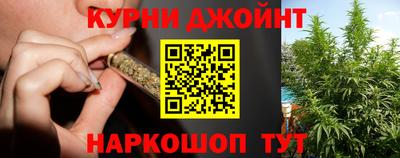 гашик Кингисепп