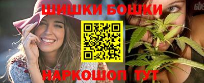 гашик Кингисепп