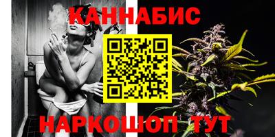 гашик Кингисепп
