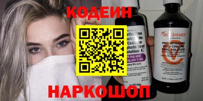 гашик Кингисепп