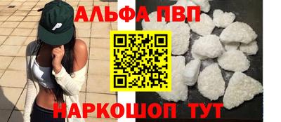 гашик Кингисепп