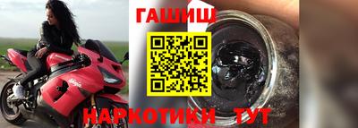 гашик Кингисепп
