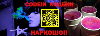 гашик Кингисепп