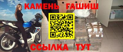 гашик Кингисепп