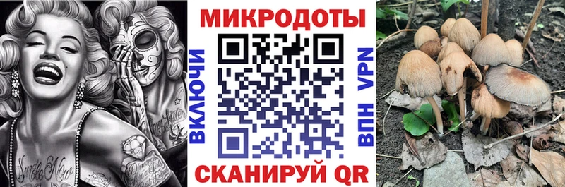 Галлюциногенные грибы GOLDEN TEACHER  Лесозаводск 