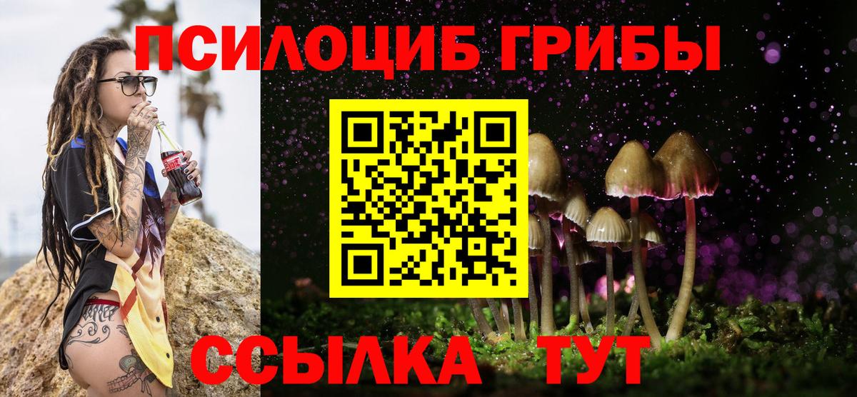 Галлюциногенные грибы Psilocybe  Вход с VPN  Лесозаводск 